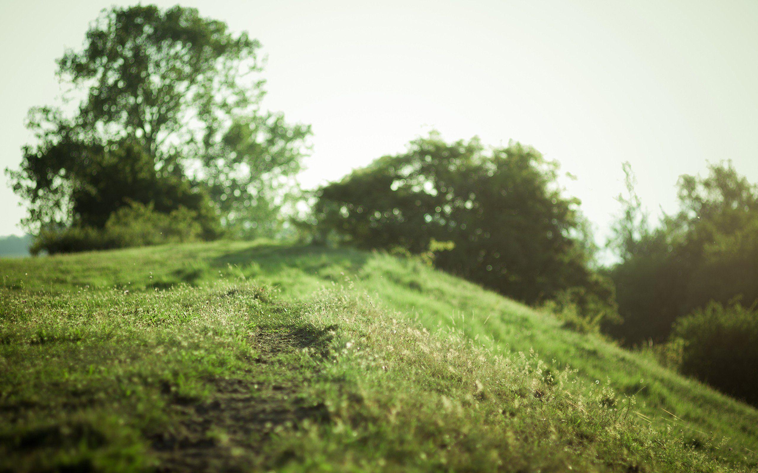 2560x1600 serene wallpaper, photo and desktop background for mobile