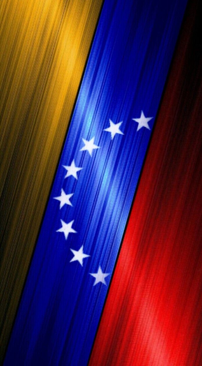 697x1265 Bandera Vzla Ayllón