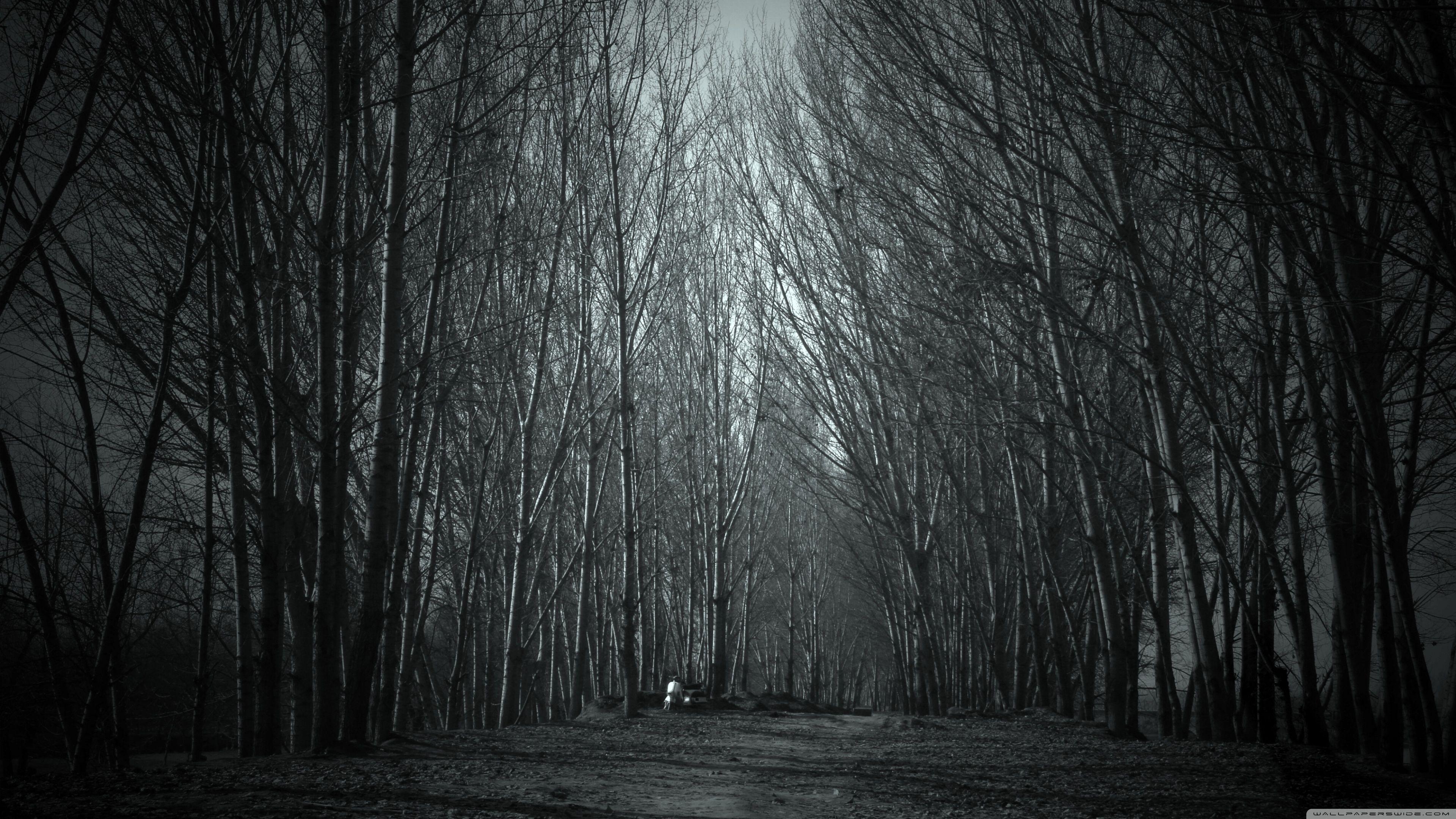Creepy Forest Wallpapers - Top Free Creepy Forest Backgrounds -  WallpaperAccess