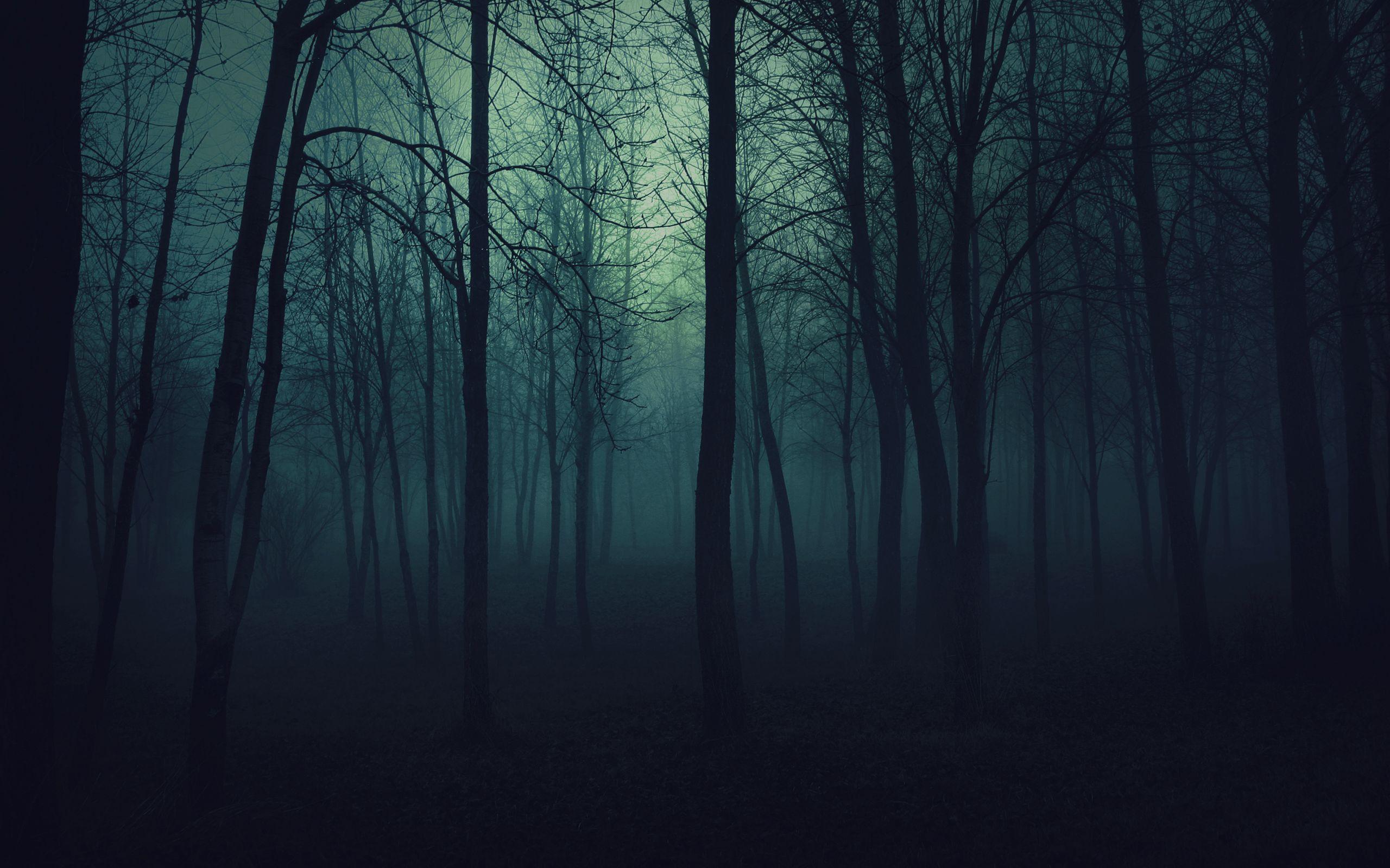 Horror Forest Wallpapers - Top Free Horror Forest Backgrounds -  WallpaperAccess