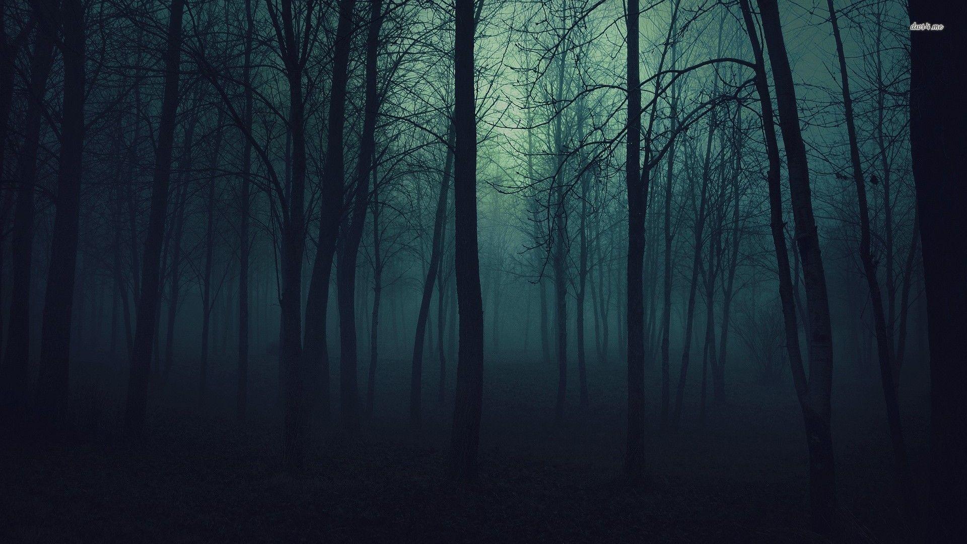 1920x1080 Dark Scary Forest Wallpaper (30 + Background Picture)