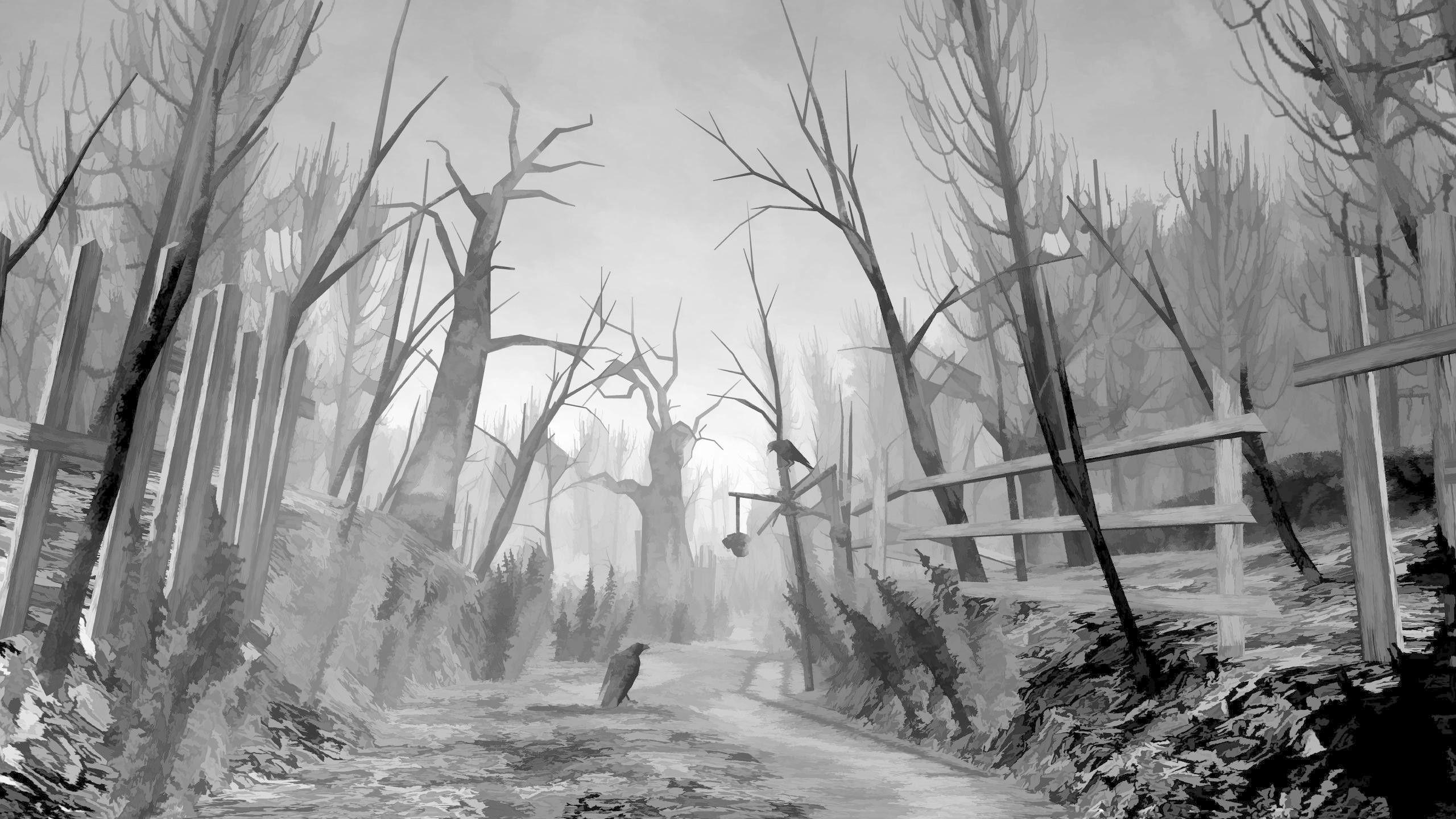 2560x1440 Grayscale Foggy Pine Forest Background HD 1920x1080