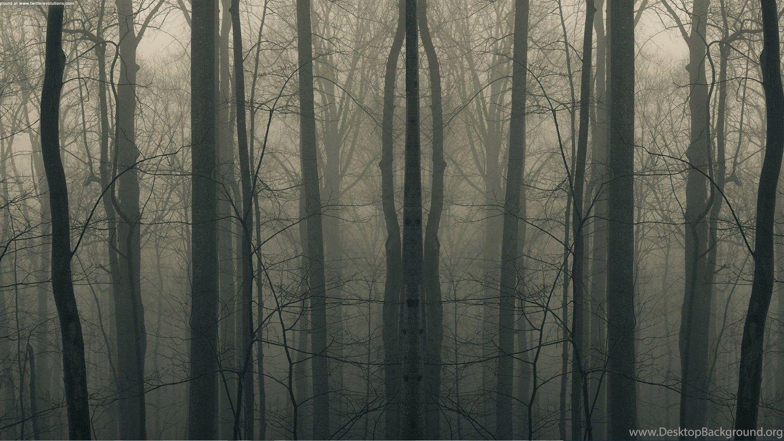1600x900 Download Creepy Forest Wallpaper For Mac Desktop Background