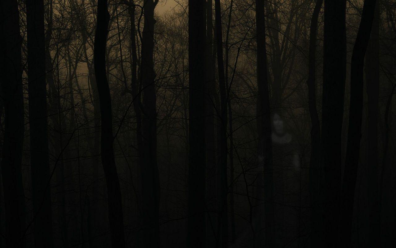 1280x804 Haunted Forest wallpaper. Haunted Forest
