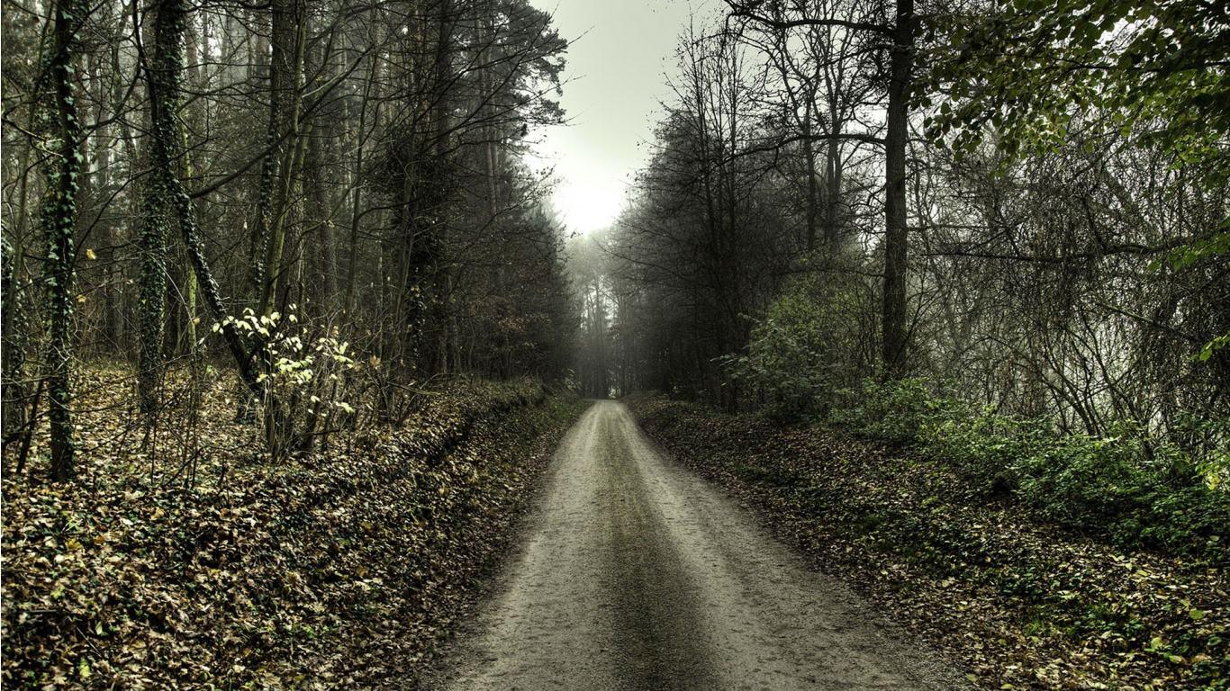 1366x768 Creepy Forest Wallpaper Group , HD Wallpaper