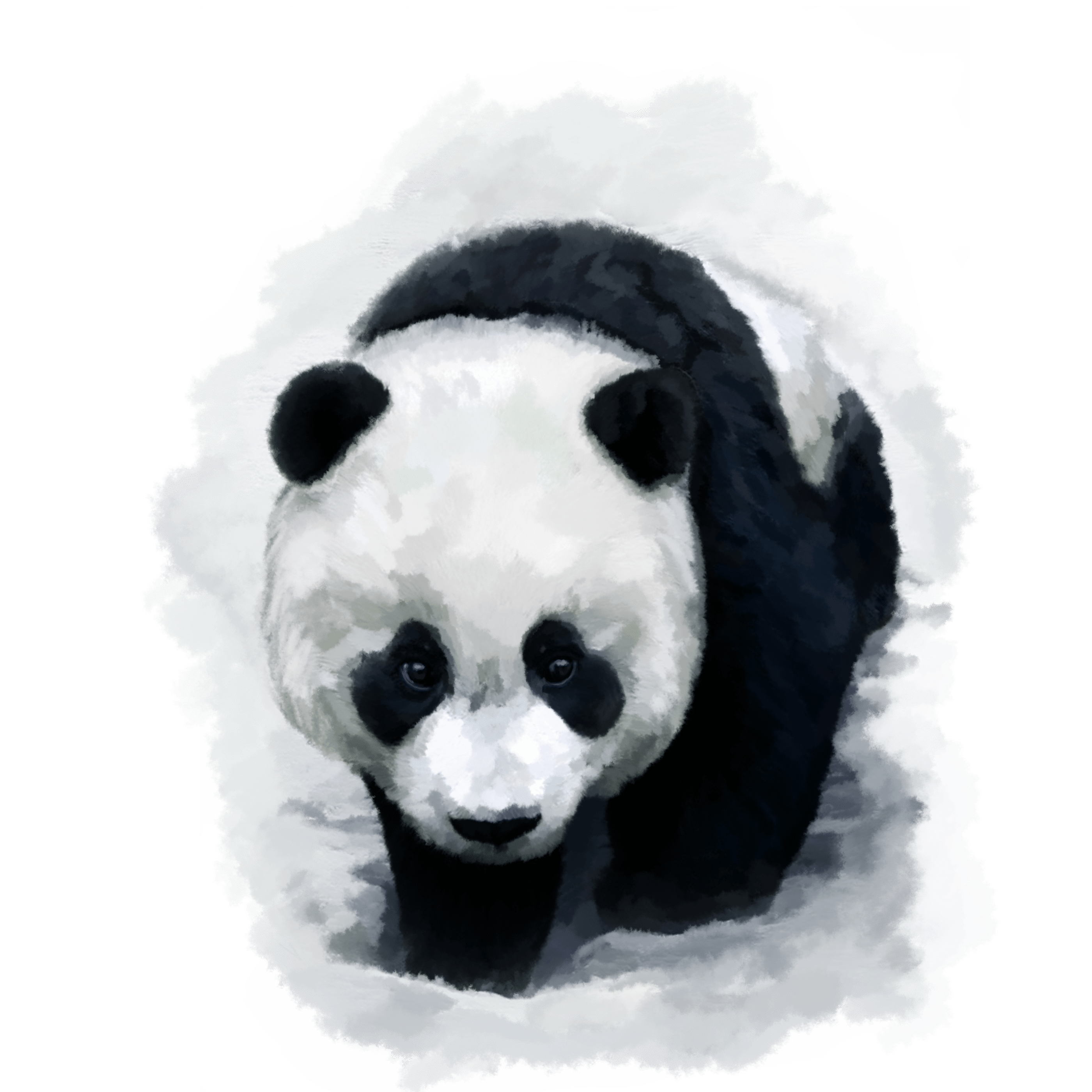 2800x2800 Giant panda Bear Red panda Desktop Wallpaper Baby Pandas png download*2800 Transparent Giant Panda png Download