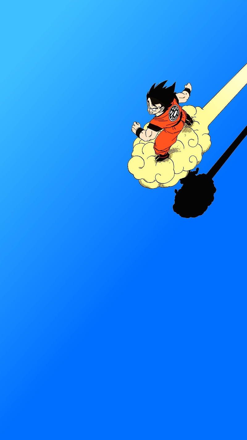 800x1422 HD goku on nimbus wallpaper