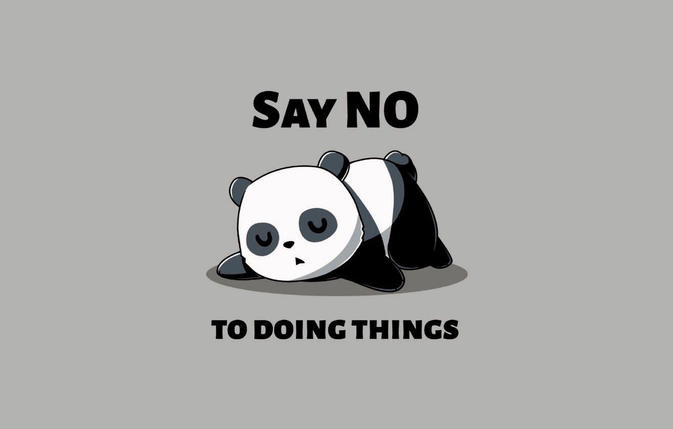 1332x850 Wallpaper minimalism, sleeping, humor, simple background
