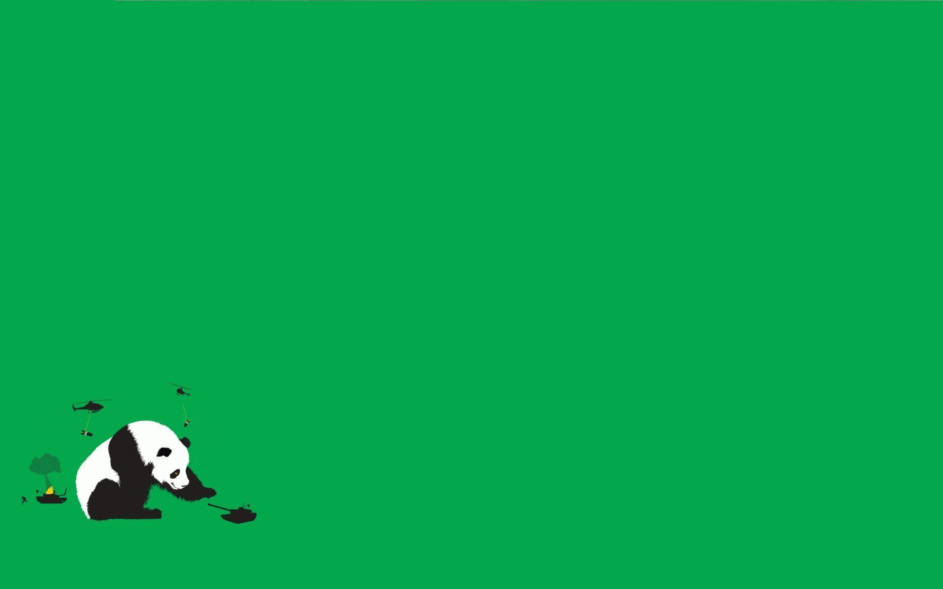 1920x1200 Giant panda Wallpaper