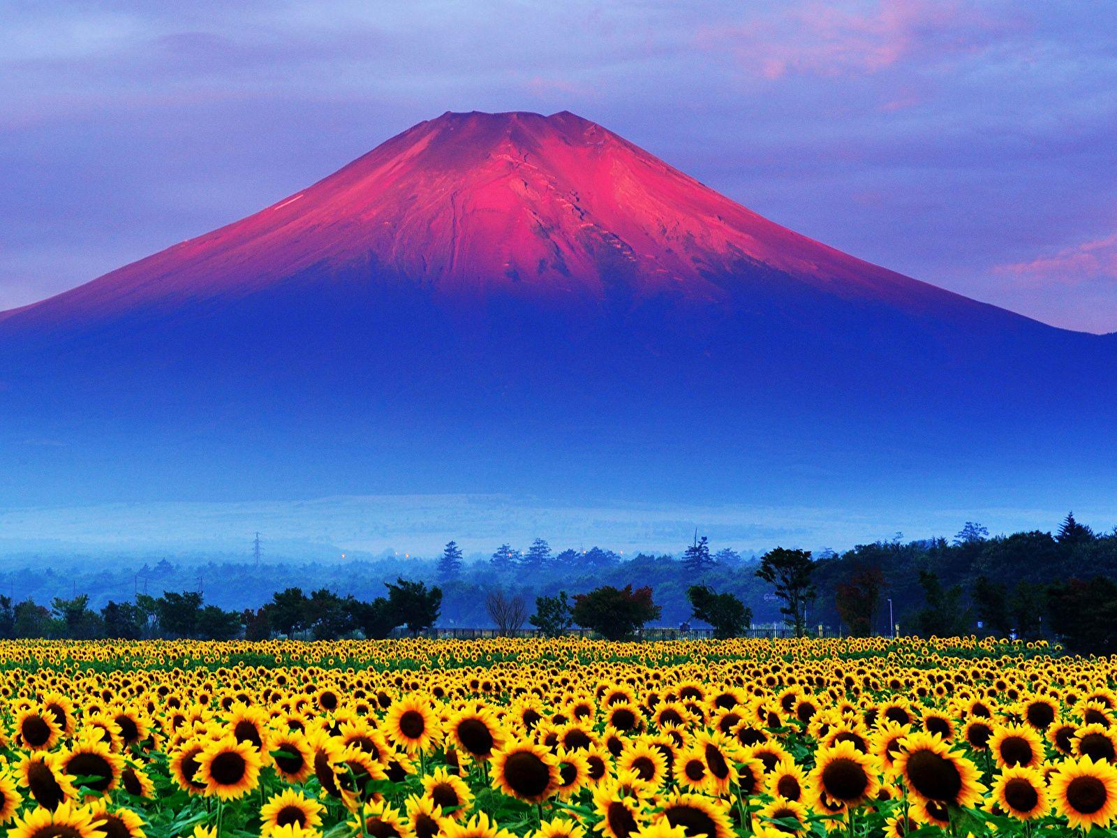 Mount fuji обои