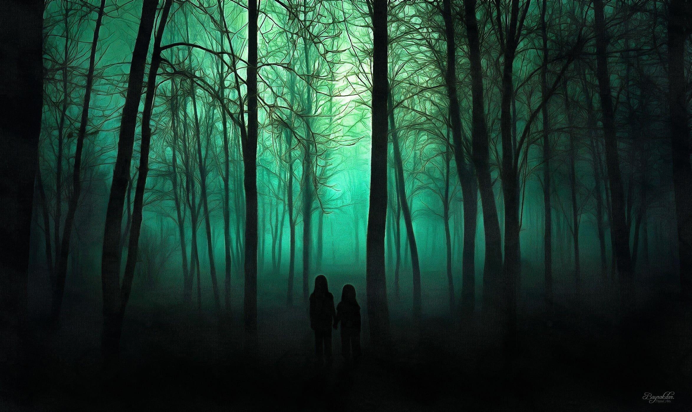 2348x1397 Forest trail, trees, spooky HD wallpaper