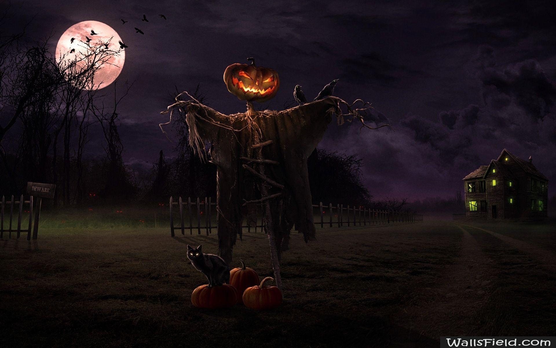 1920x1200 Spooky Path.com. Free HD Wallpaper