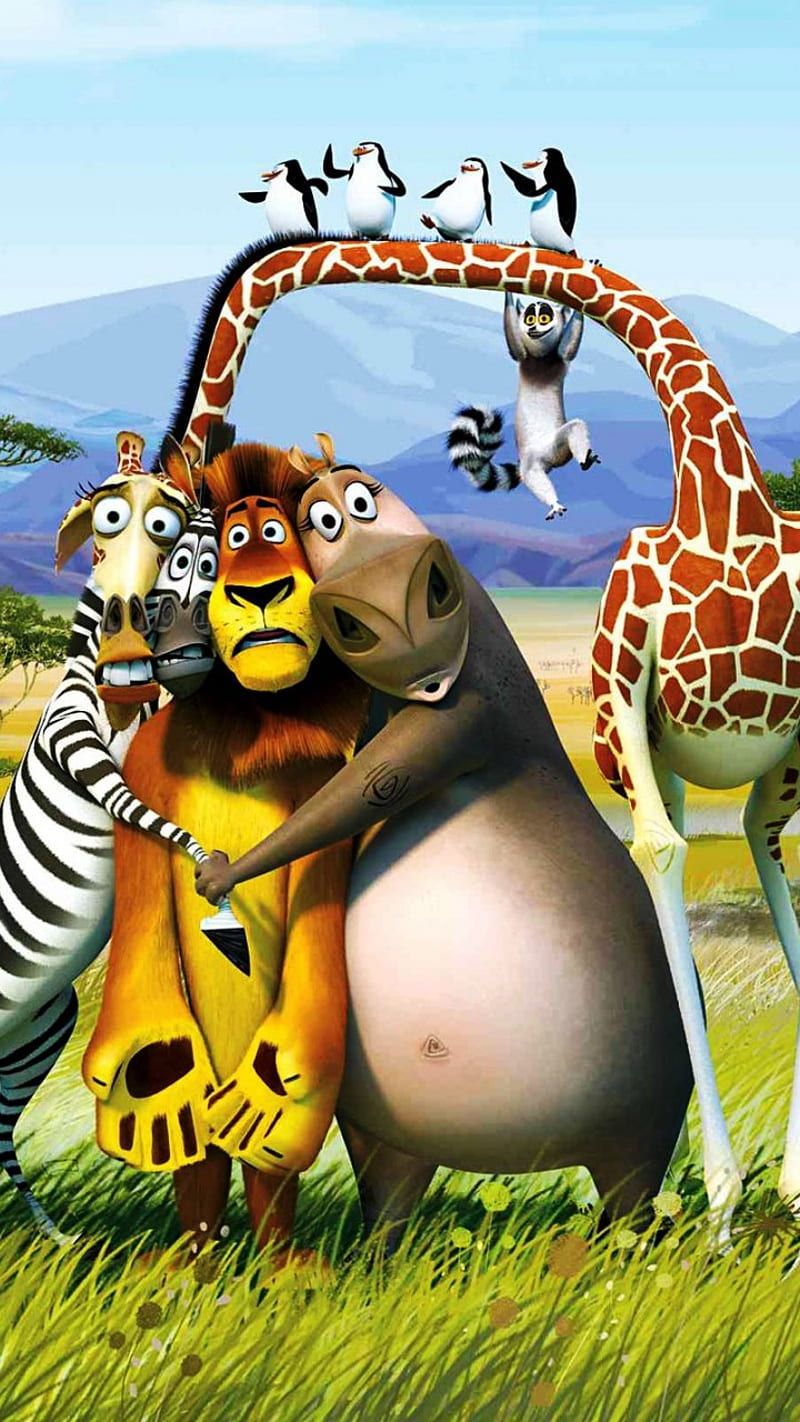 800x1422 Madagascar, animals, HD phone wallpaper