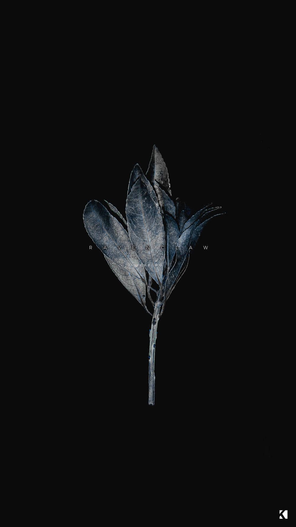 1000x1778 Download Dark Aesthetic Wallpaper