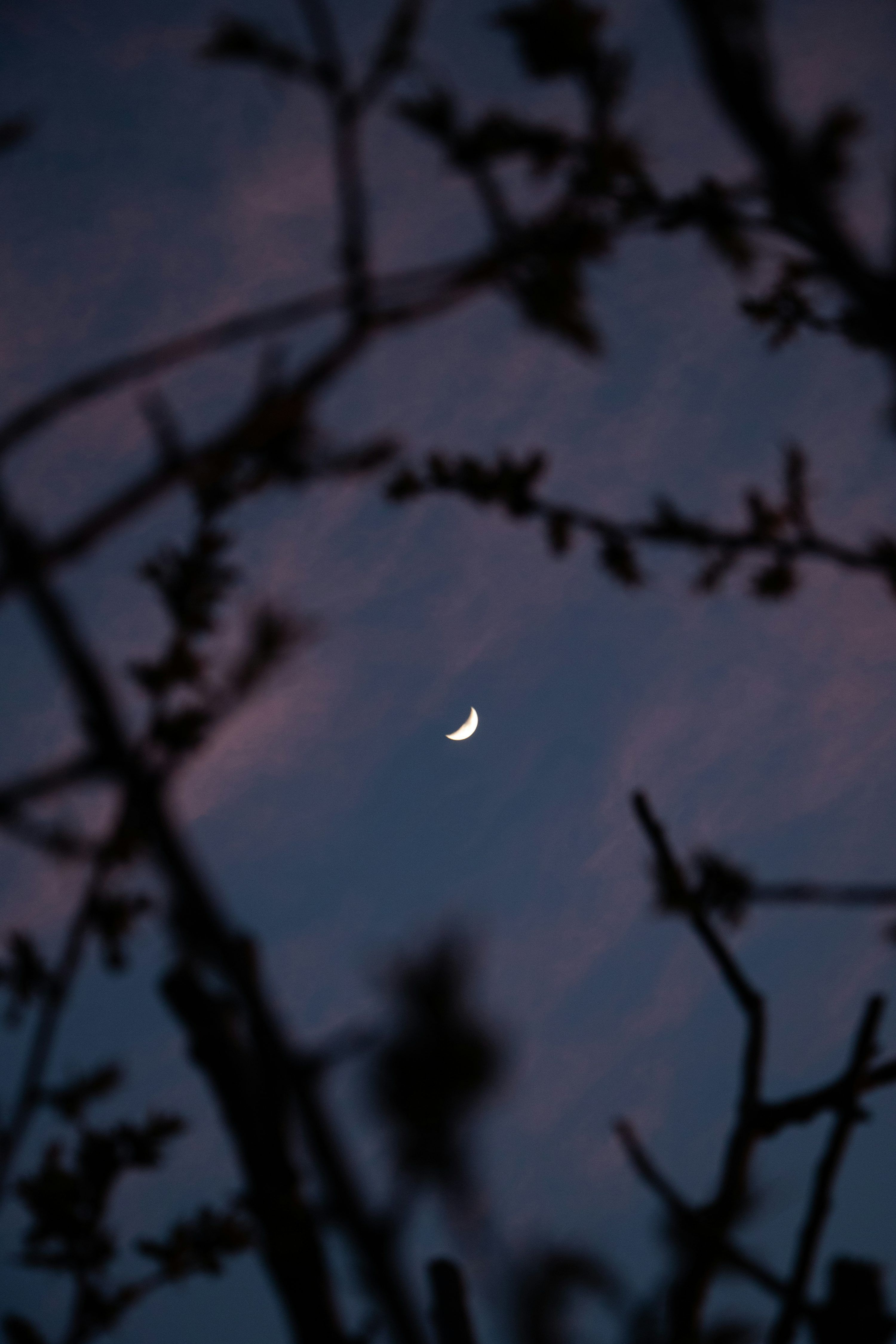 3000x4500 Moon Aesthetic Picture. Download Free