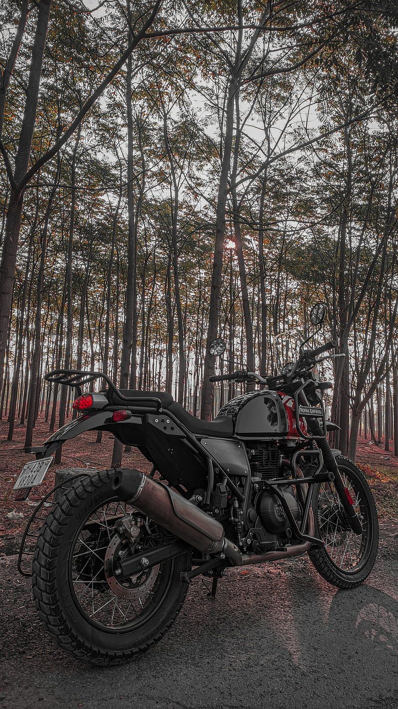 800x1422 Himalayan, bike, motorcycle