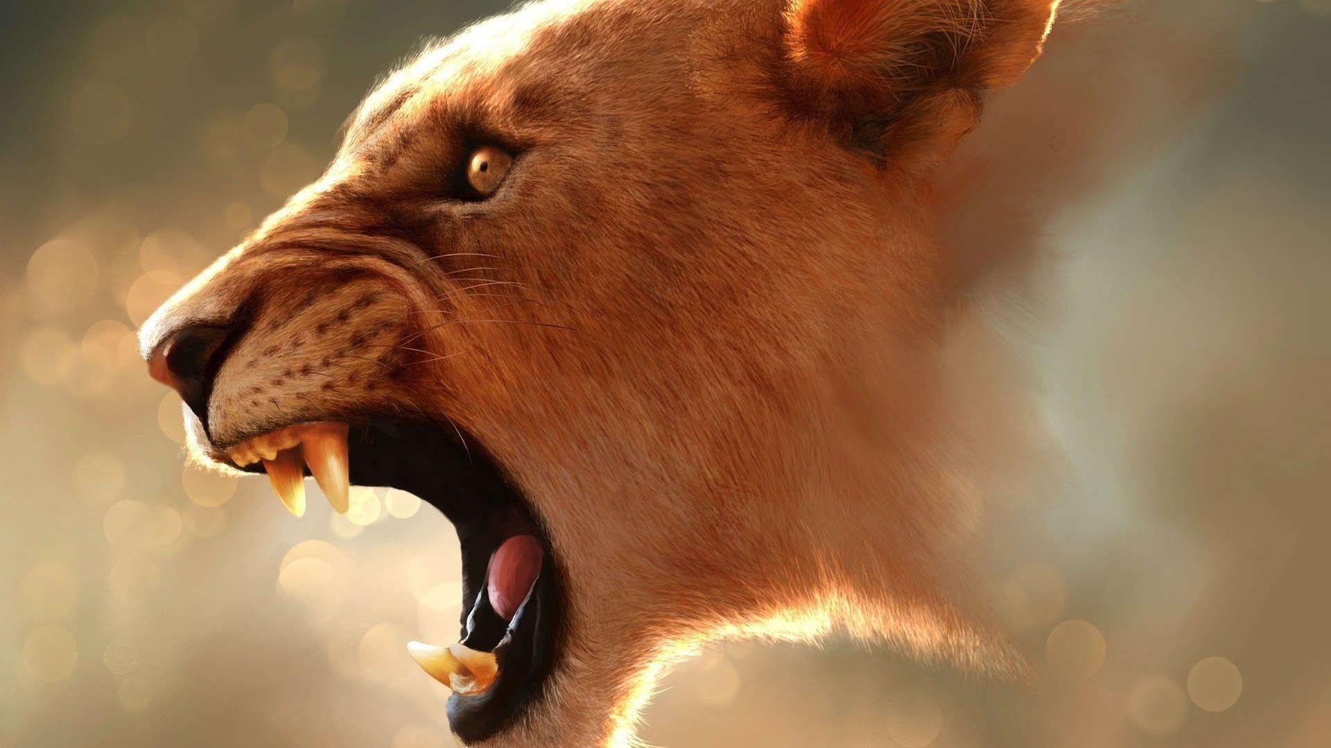 Angry Lion Wallpapers - Top Free Angry Lion Backgrounds - WallpaperAccess