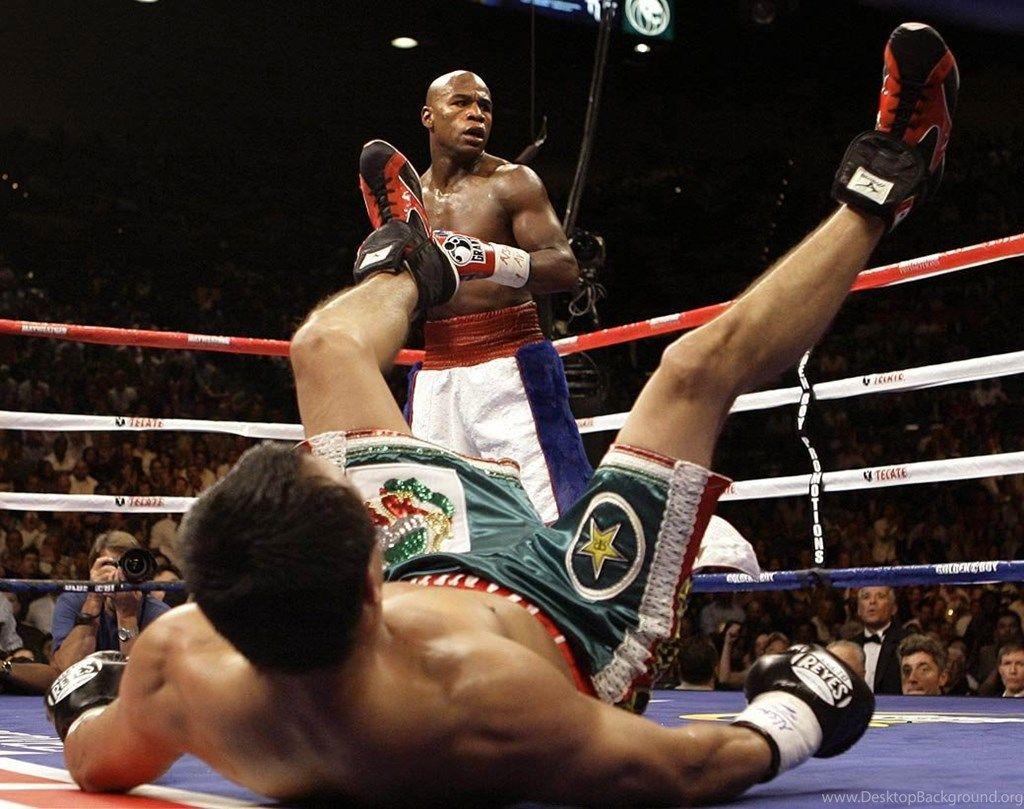 1024x809 Floyd Mayweather 5 Background ImgX Wallpaper Desktop
