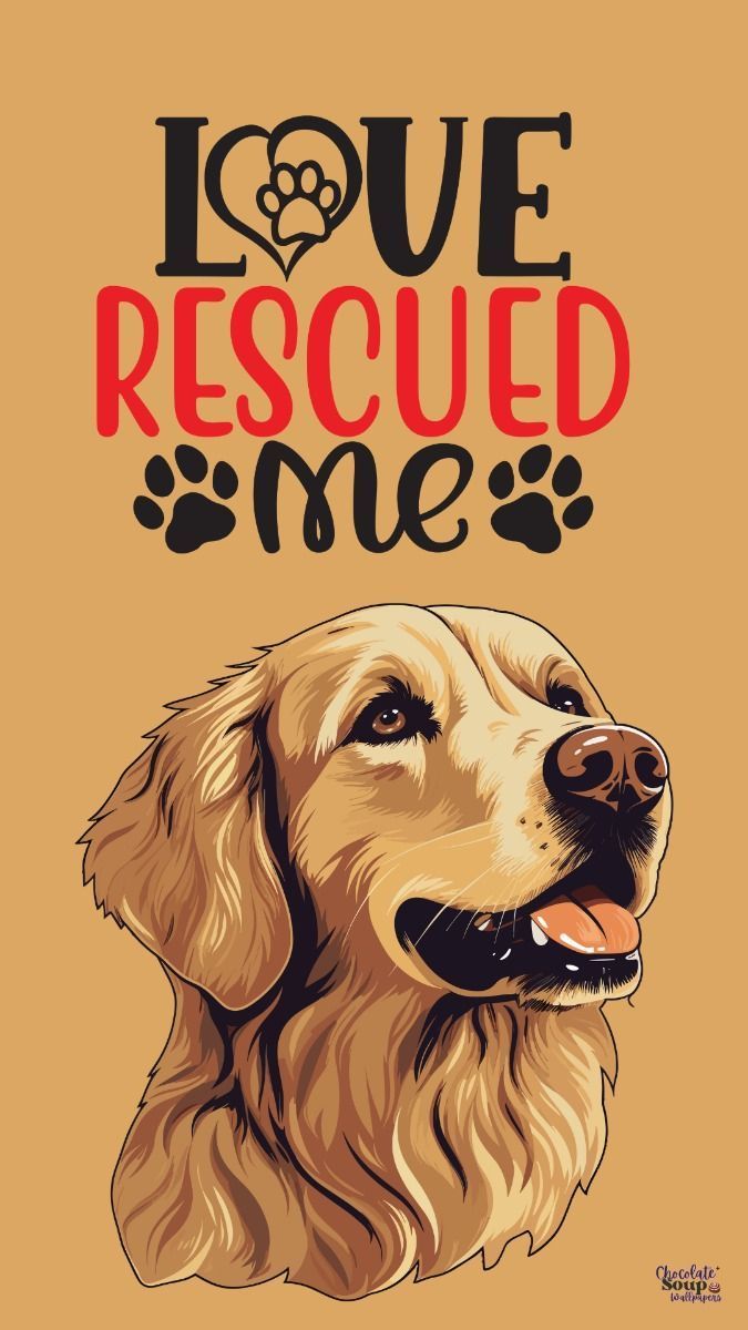675x1200 Dogs Phone Wallpaper