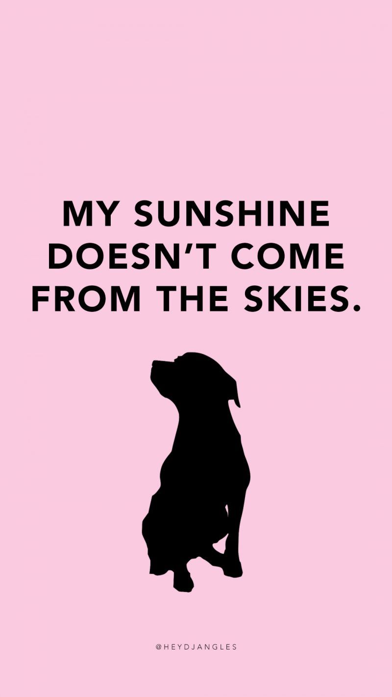 800x1422 Dog lover quotes, Dog quotes