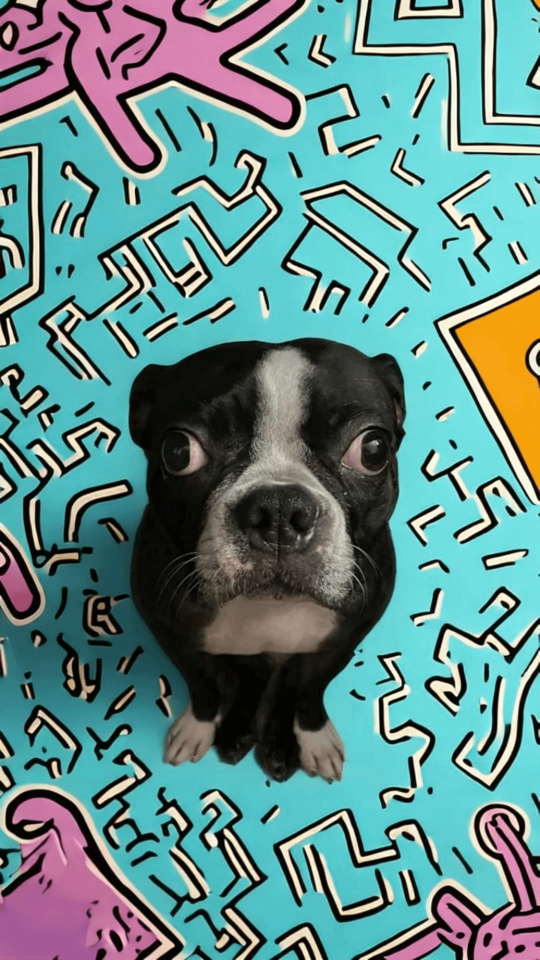 1080x1920 dog as my phone background