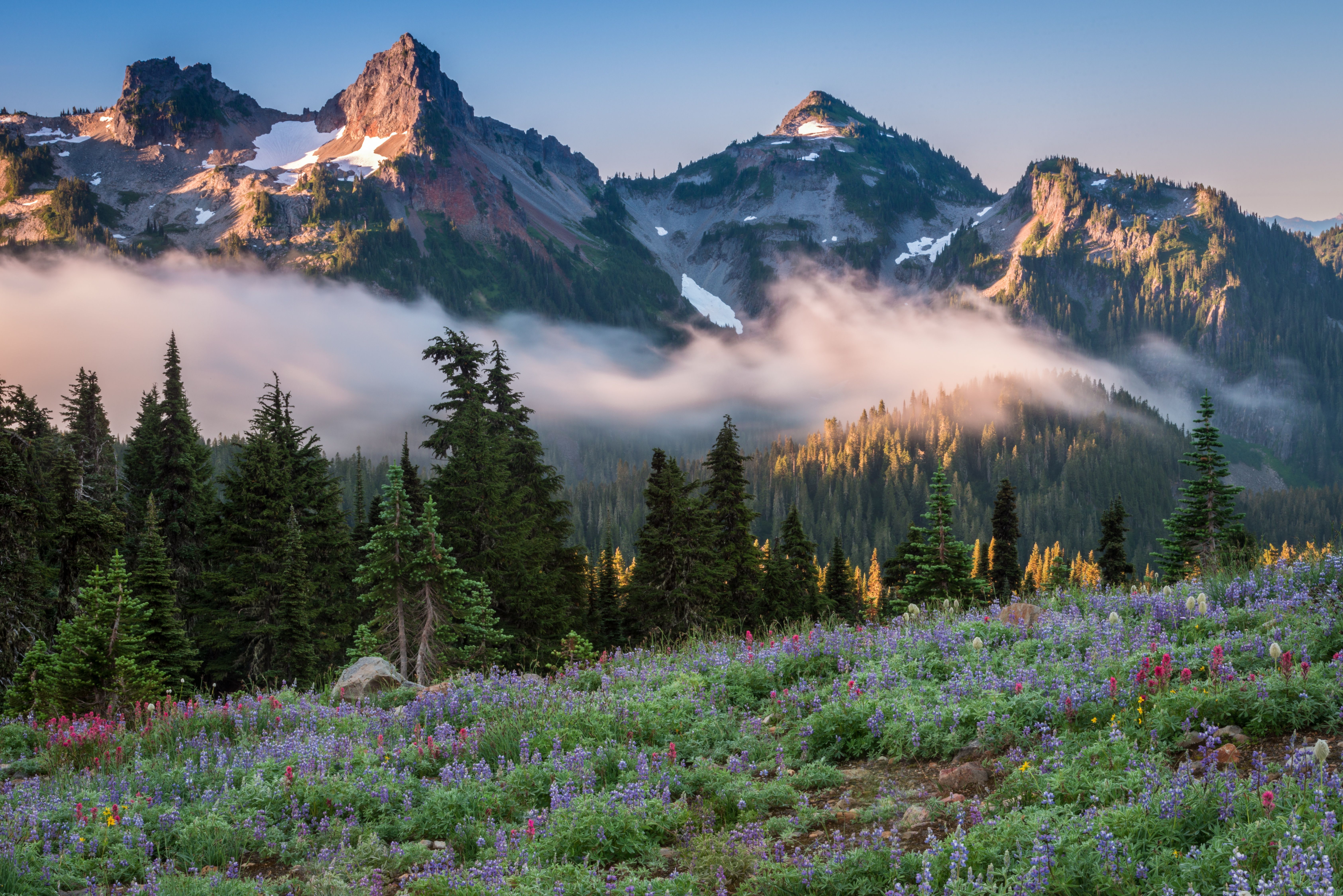 6743x4500 Nature Mount Rainier 4k Ultra HD Wallpaper