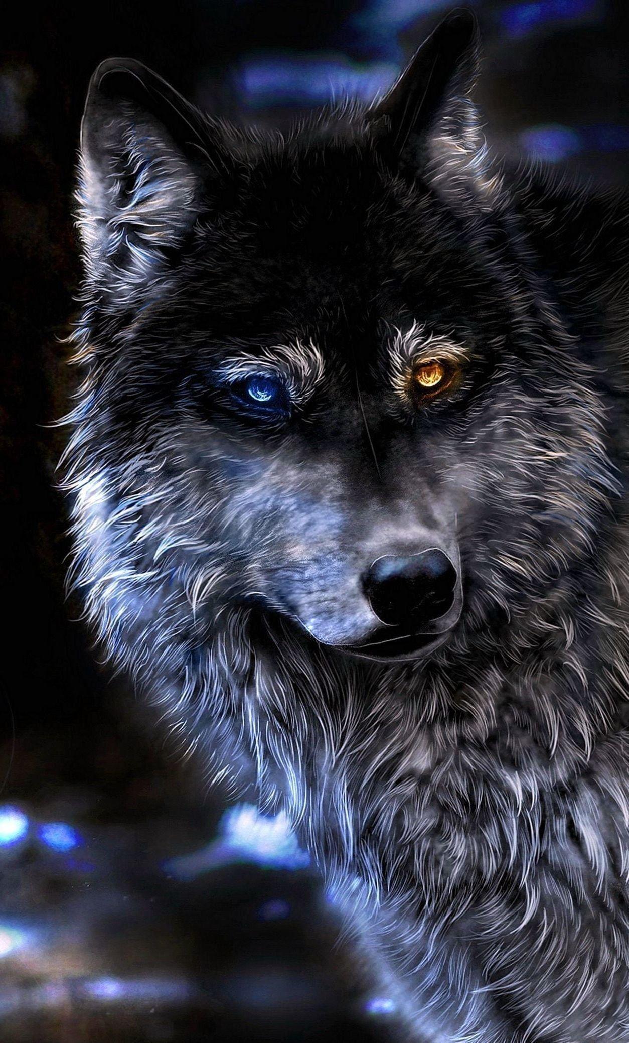 Black Wolf 4K Wallpapers - Top Free Black Wolf 4K Backgrounds ...