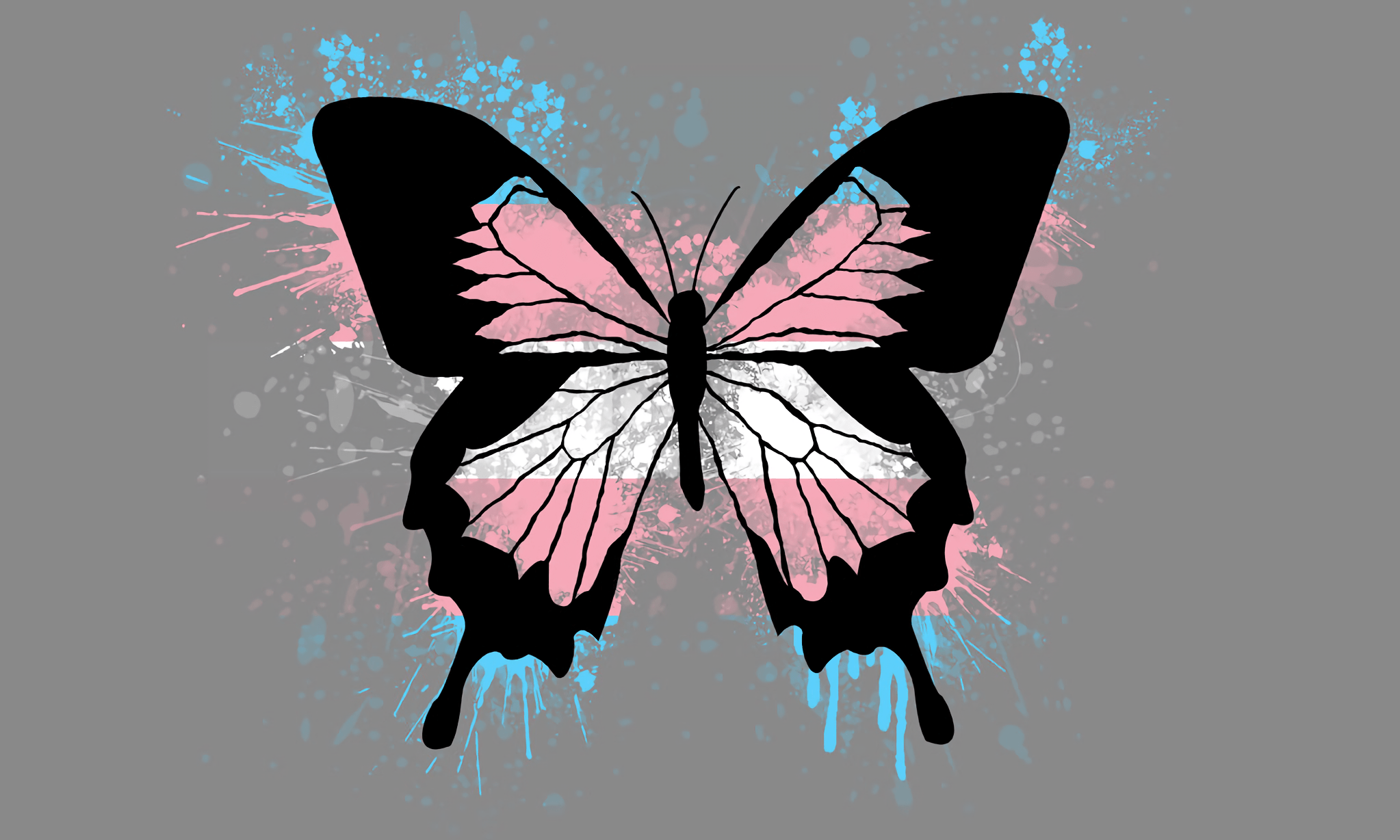 2046x1228 Transgender Butterfly [2046x1228]