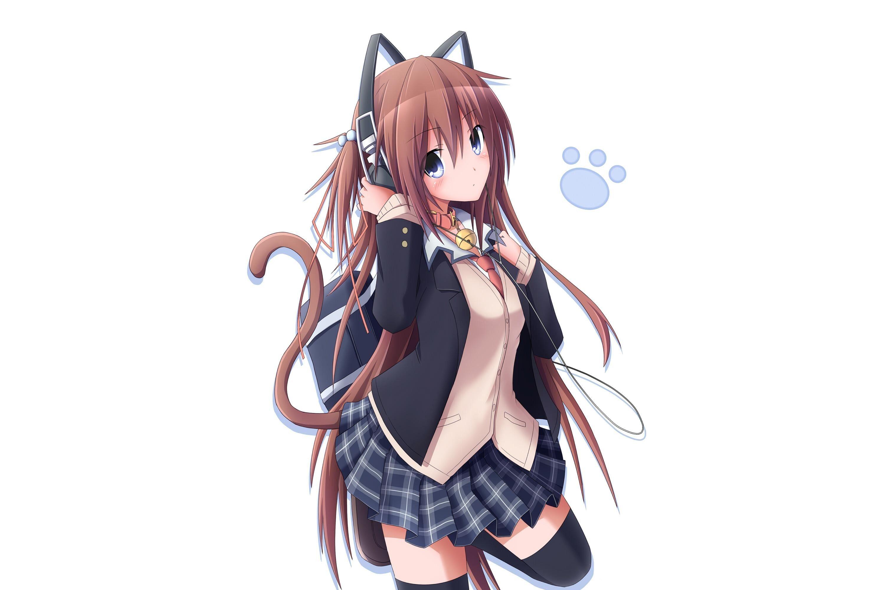 3000x2000 Neko Boy Wallpaper