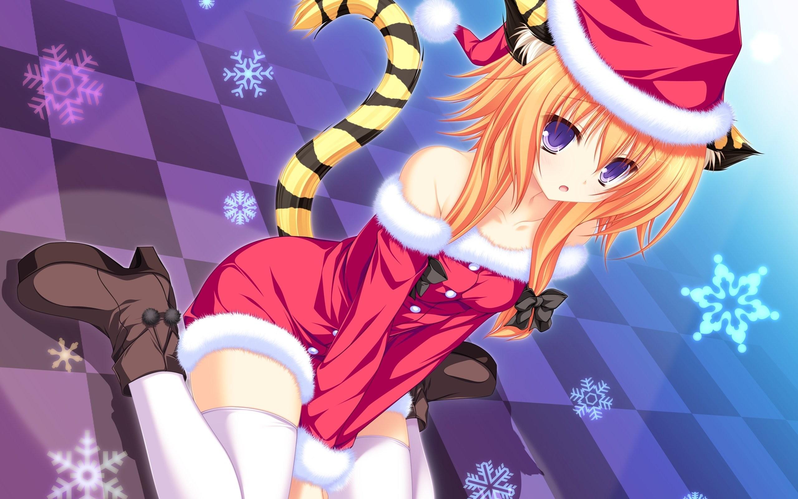 2560x1600 Anime Neko Wallpaper