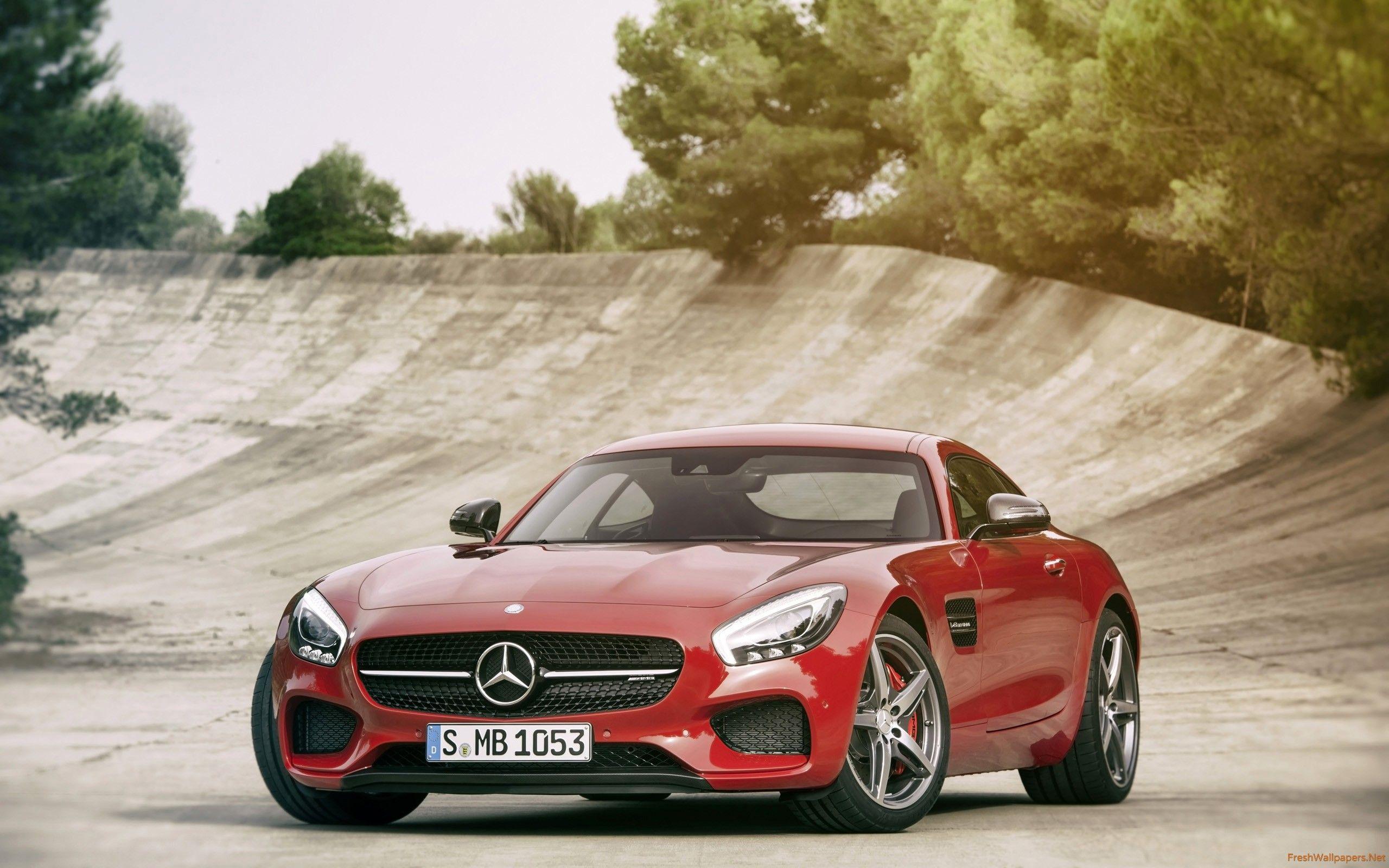 2560x1600 Mercedes AMG GT 4 wallpaper