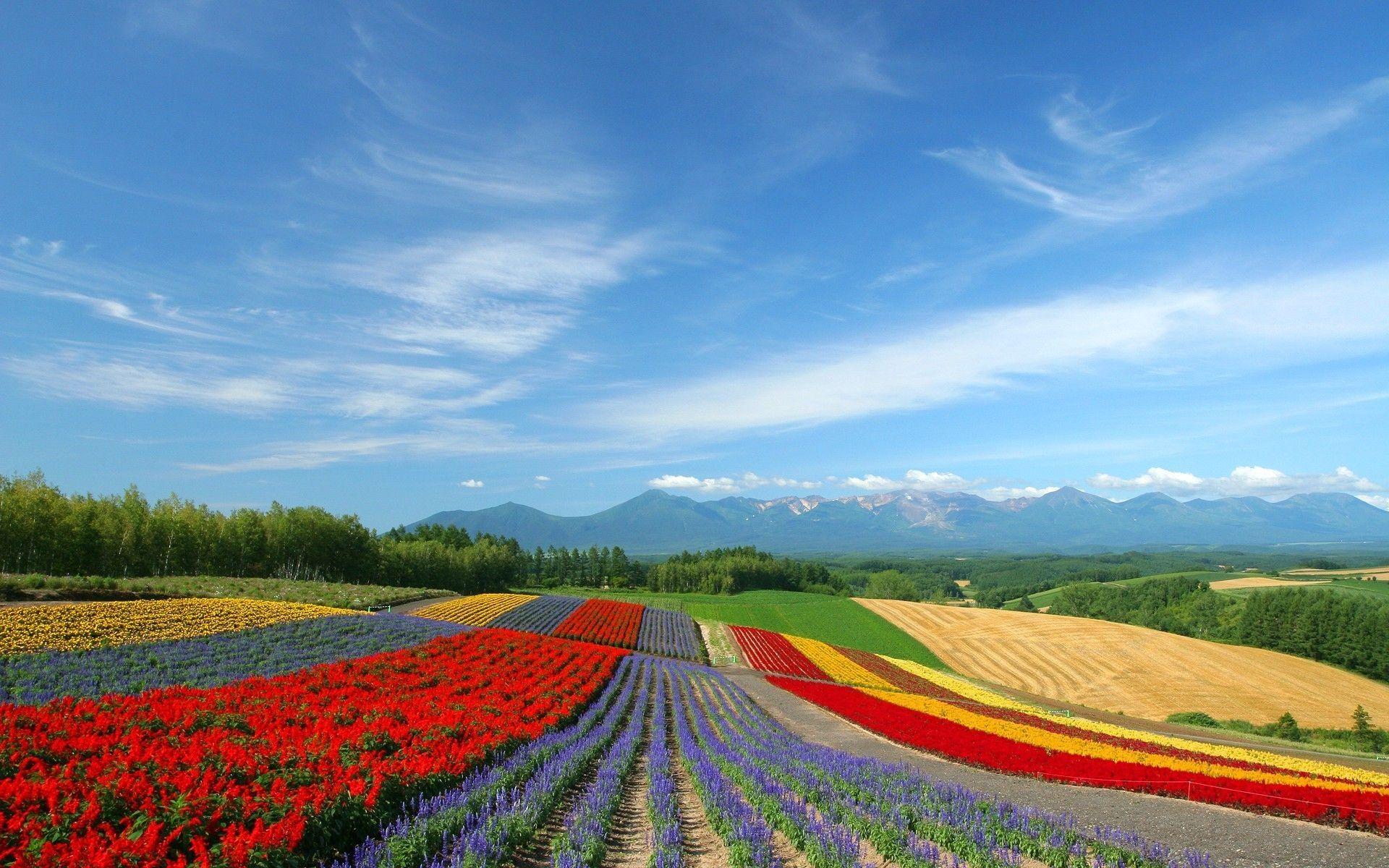 1920x1200 Hokkaido, Japan wallpaper. Travel. Japan landscape, Japan