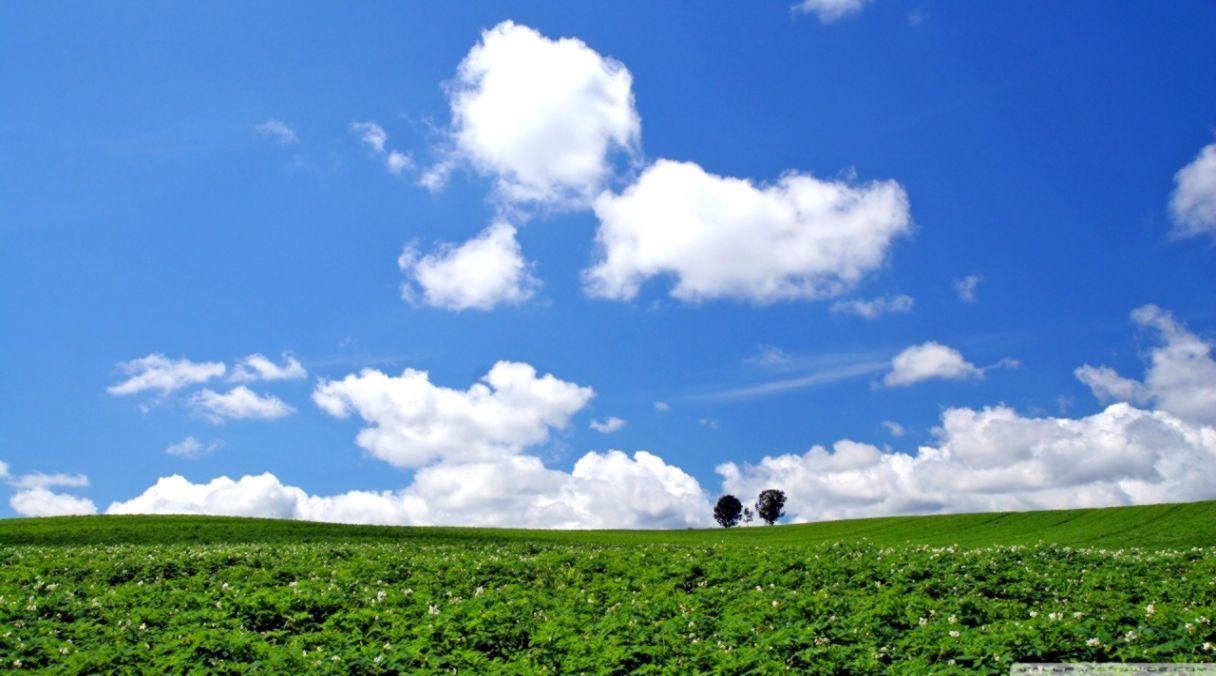 1216x676 Travel Wallpaper Hokkaido Scenery Wallpaper