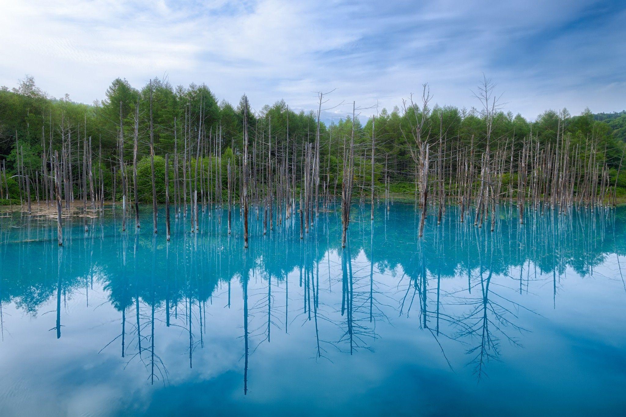 2048x1364 Japan, trees, Asia, lakes, reflections, Hokkaido wallpaper