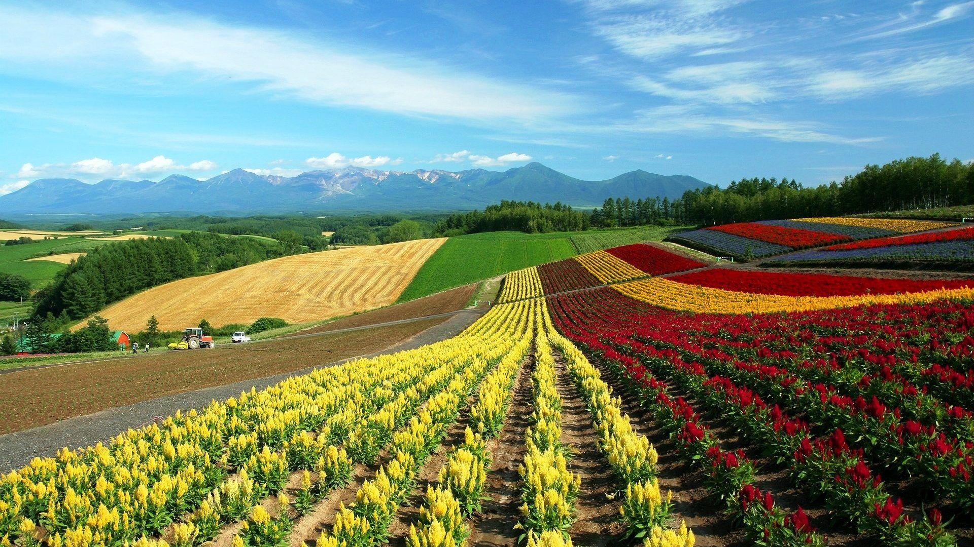 1920x1080 Hokkaido Pics HD Background