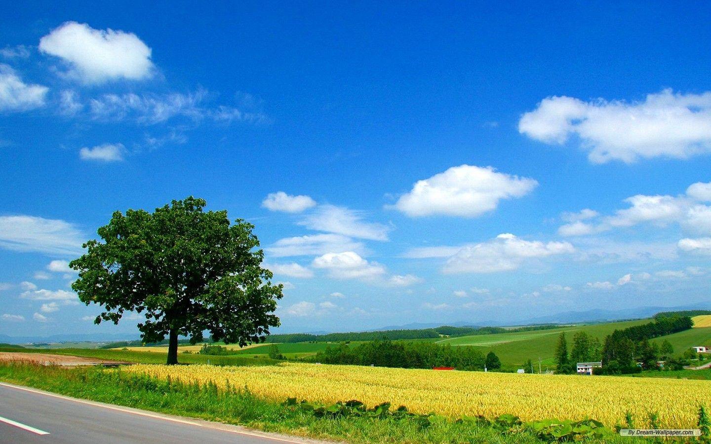 1440x900 Hokkaido Wallpaper