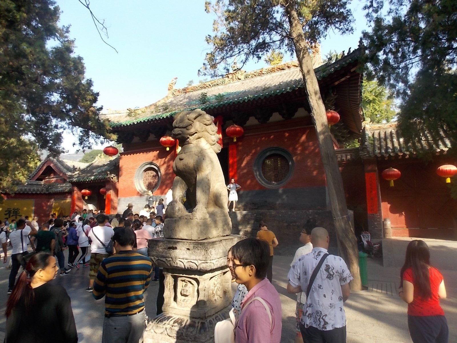 1600x1200 English Teacher X: X at the Shaolin Temple