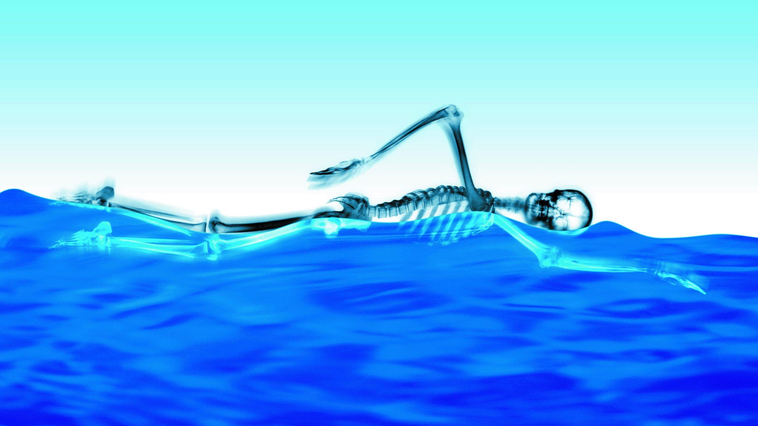 Hình nền PC và Mac 2560x1440 Bơi Skeleton
