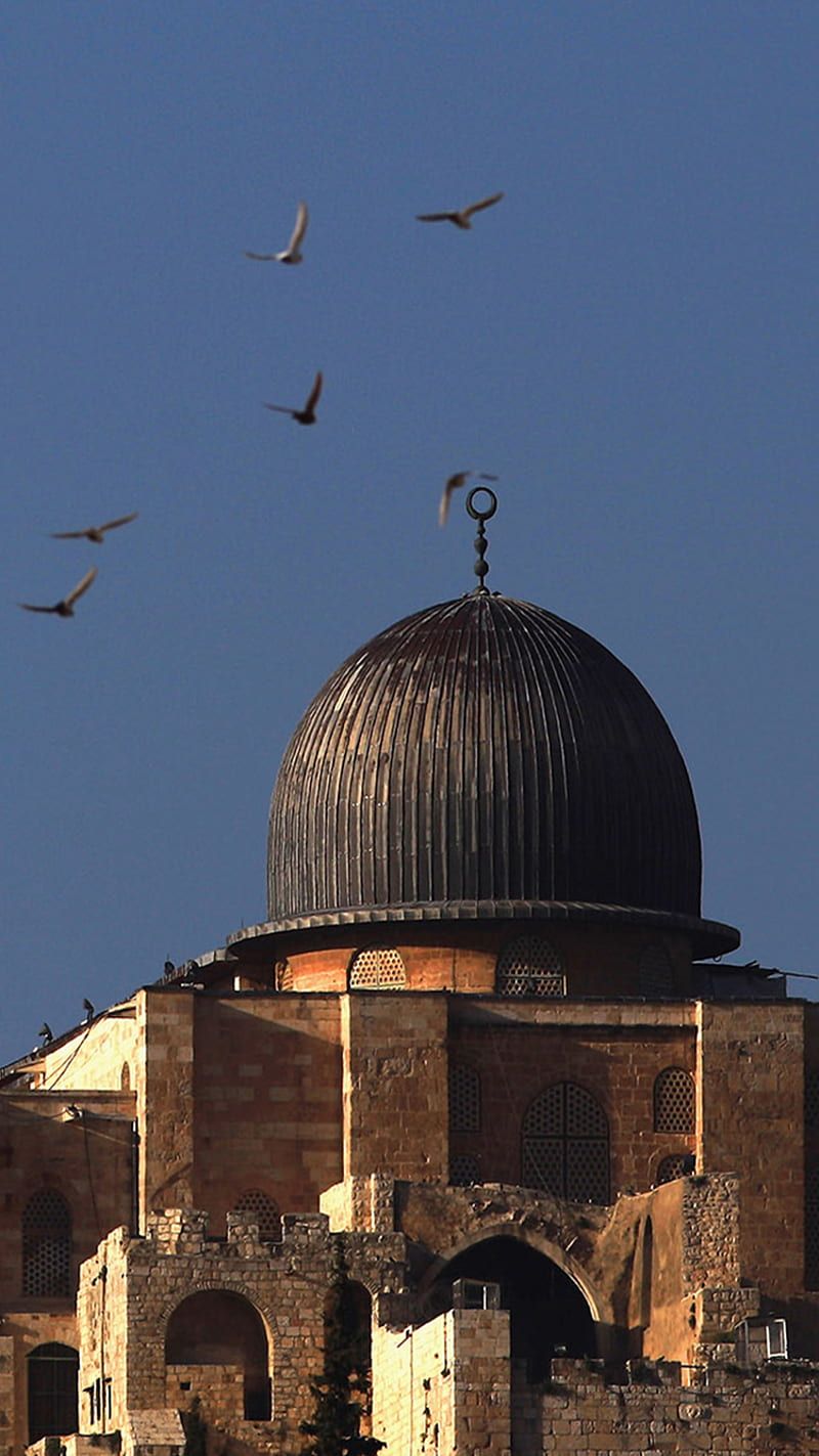 800x1423 HD jerusalem wallpaper