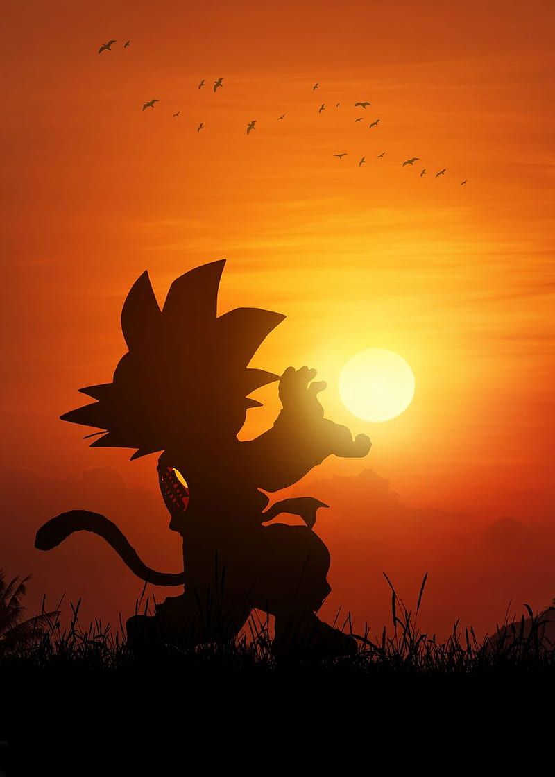 800x1120 HD goku sunset wallpaper