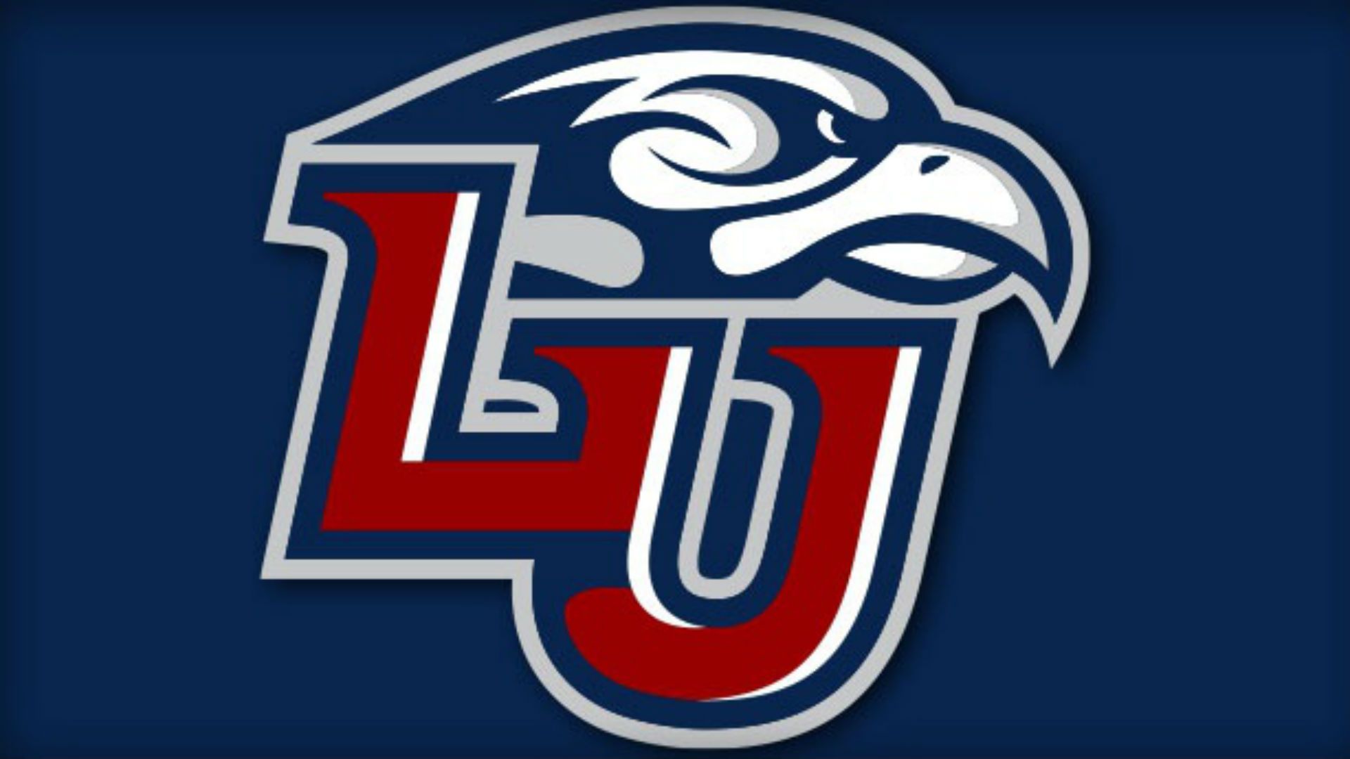 1920x1080 LU Hockey Game