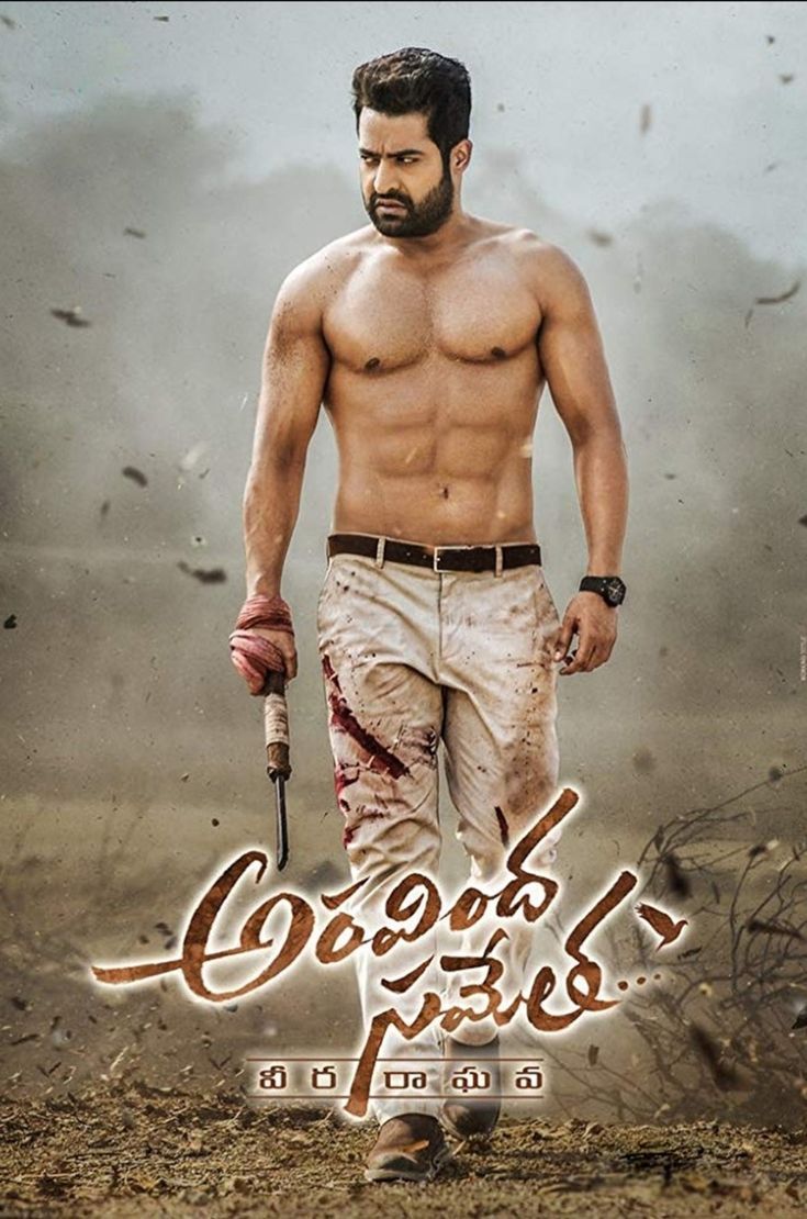 735x1110 aravinda sametha hindi dubbed movie