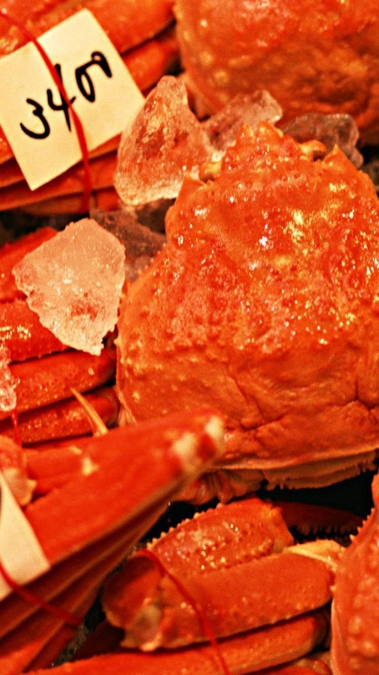 750x1334 Japan japanese food art wallpaper