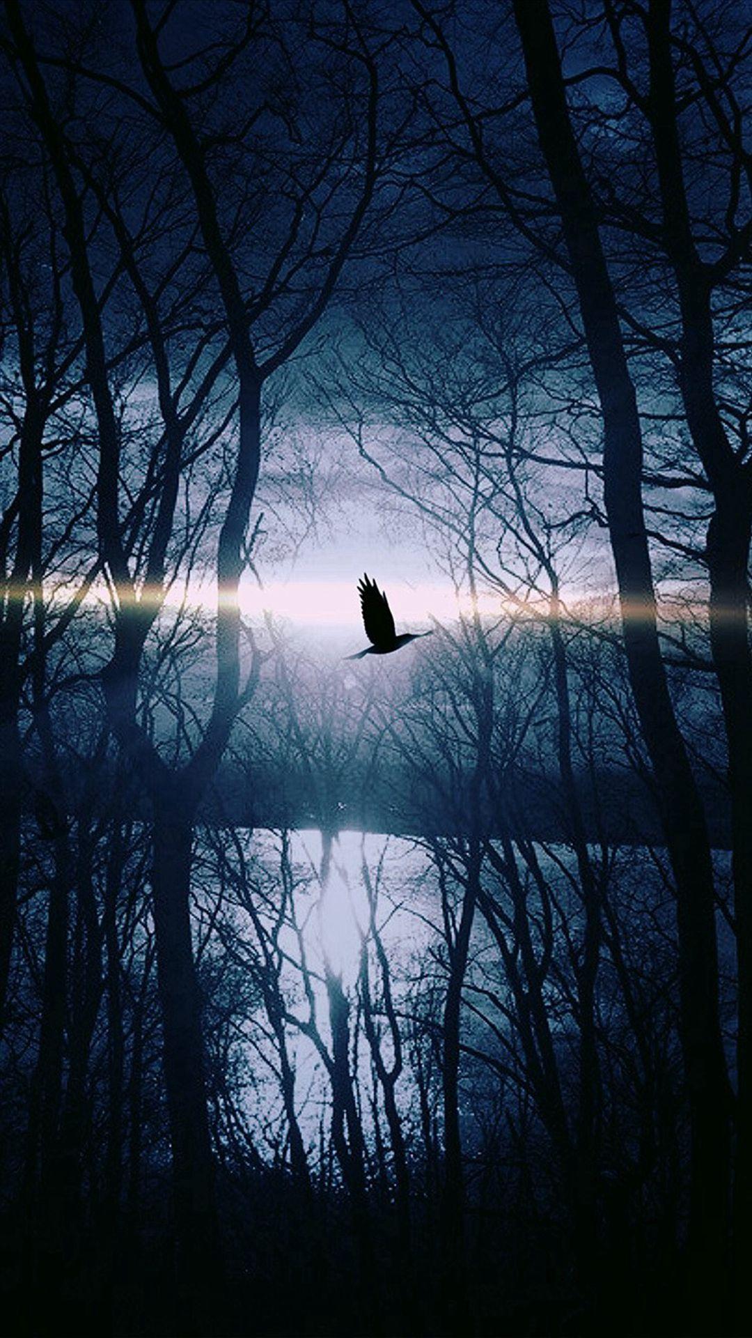 1080x1920 Wood Night Dark Nature Bird Fly Lake iPhone 8 Wallpaper