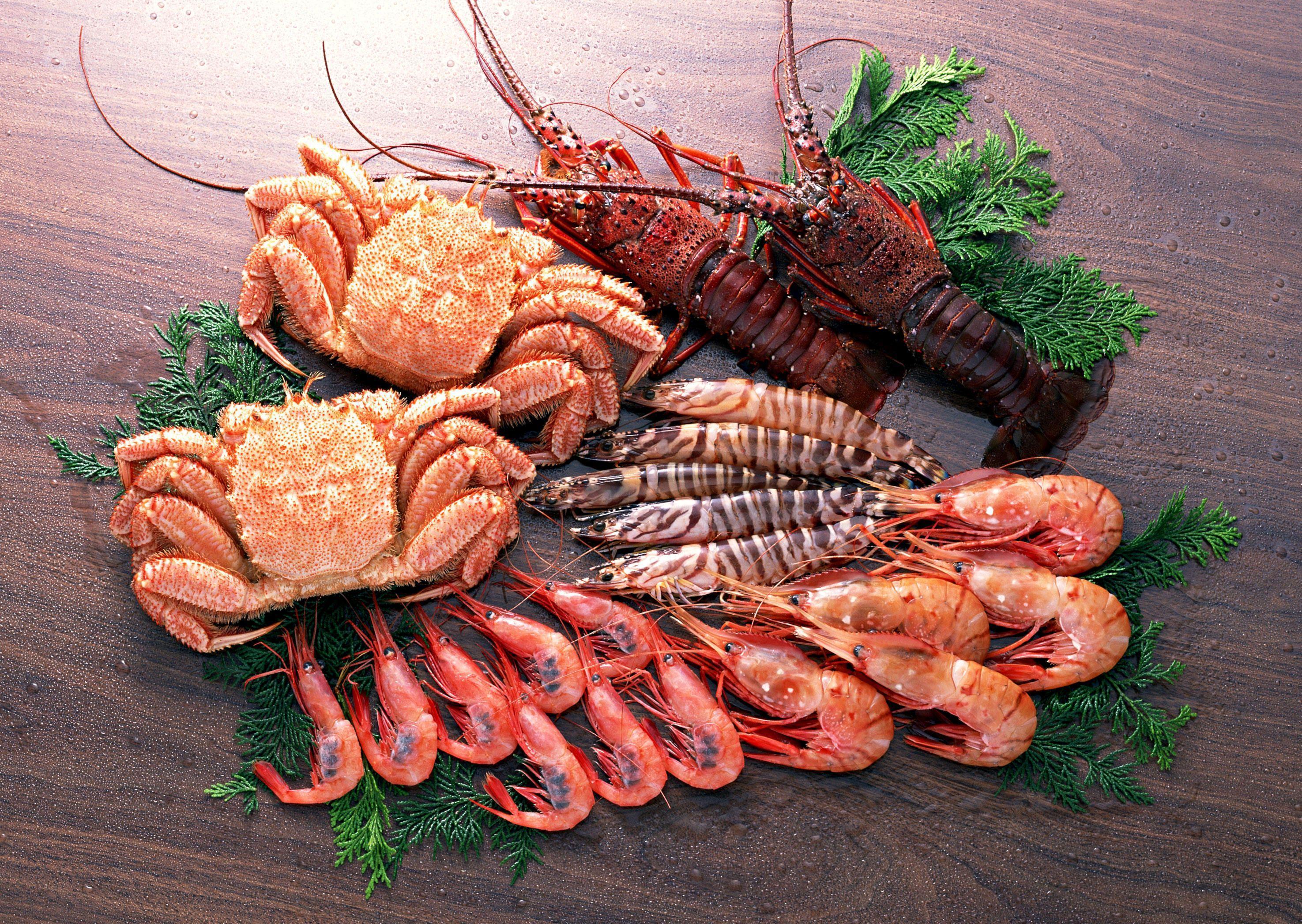 Seafood Wallpapers - Top Free Seafood Backgrounds - WallpaperAccess