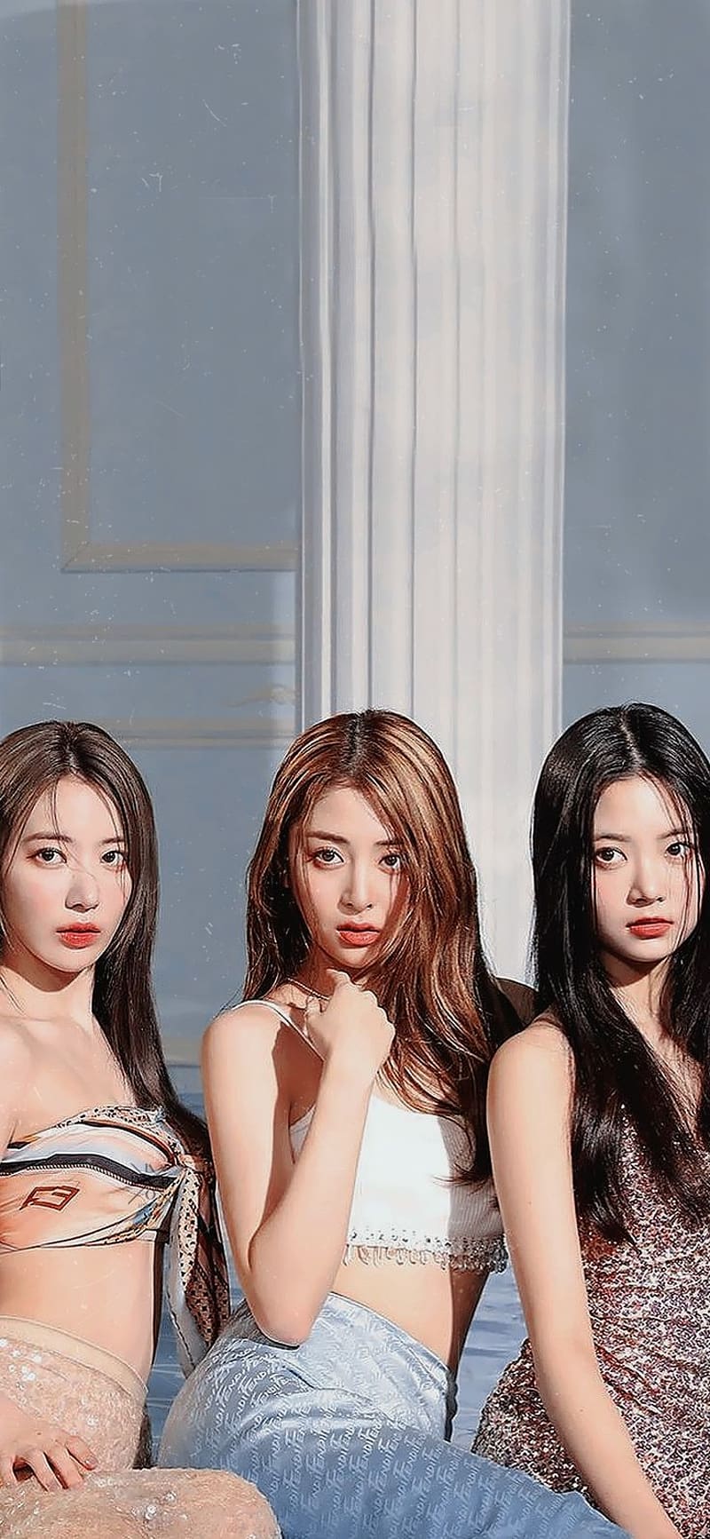 800x1733 HD phone wallpaper