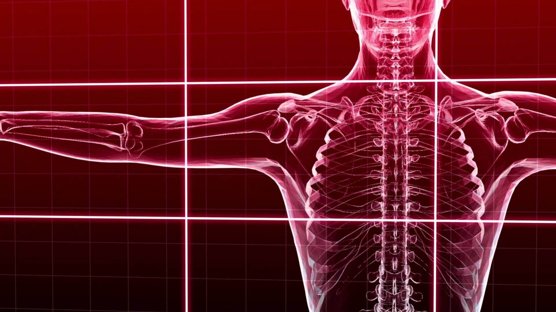 1919x1079 Occupational Anatomy and Physiology