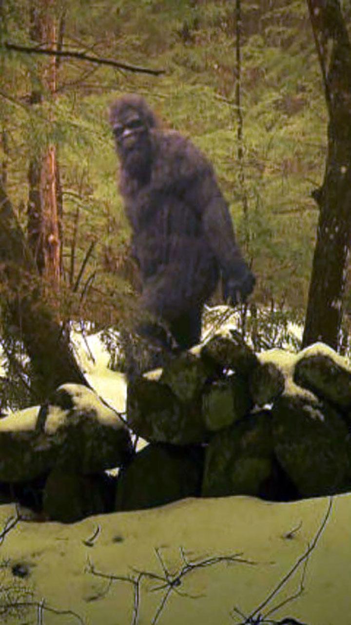 Bigfoot Monster - Yeti Hunter download