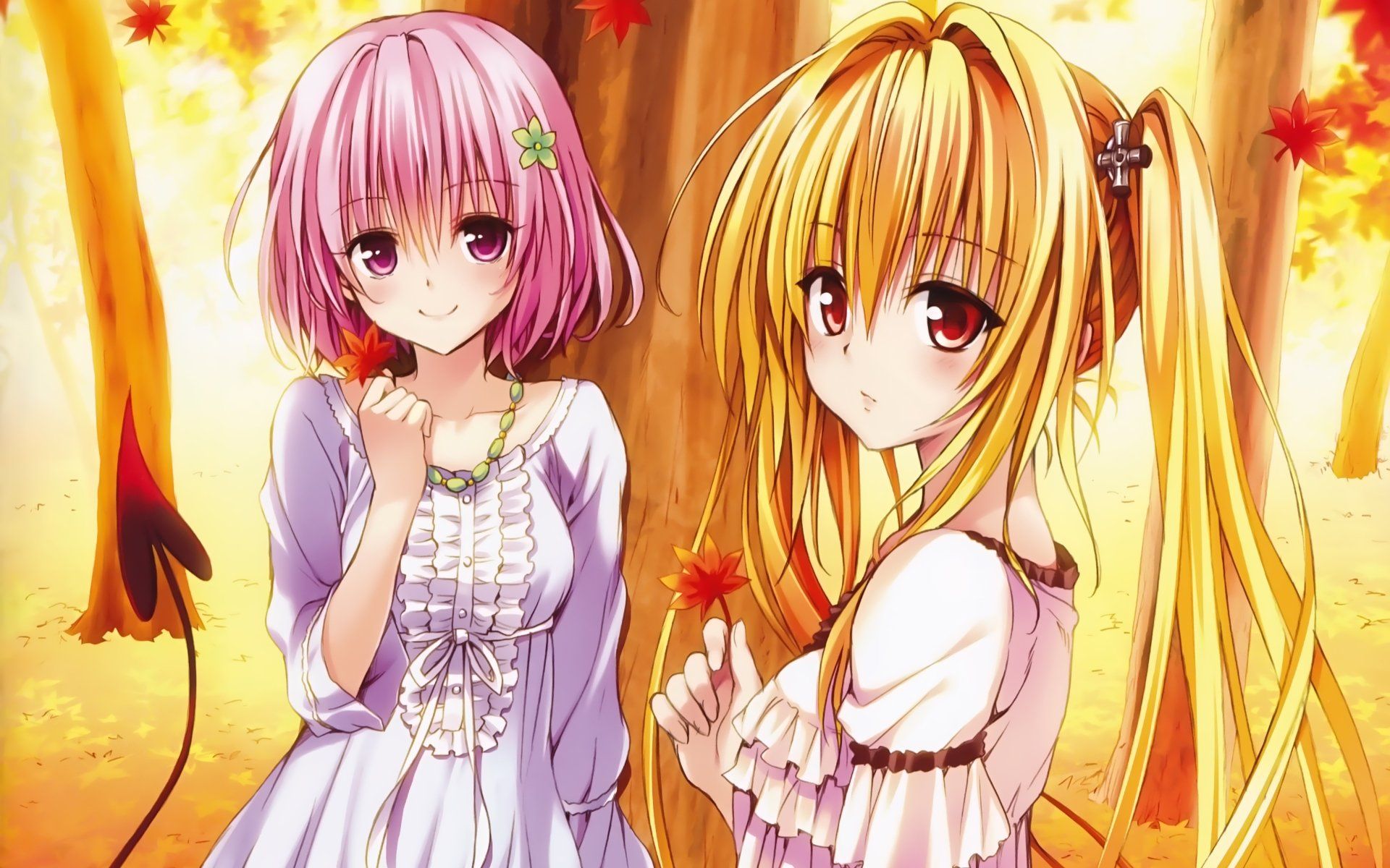 1920x1200 Momo Velia Deviluke and Golden Darkness