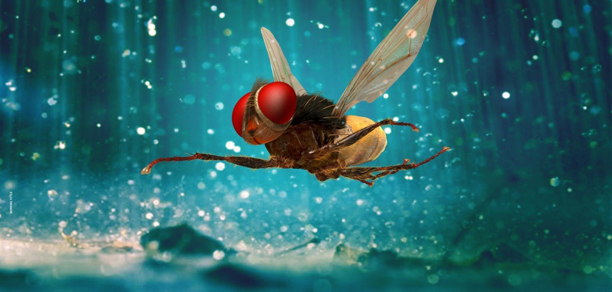 2078x994 Eega Movie Wallpaper